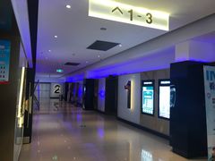 -金逸影城(武汉人信汇IMAX店)