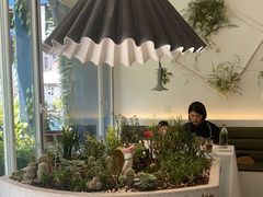 -春树下·树屋花房西餐厅(罍街AS1980店)