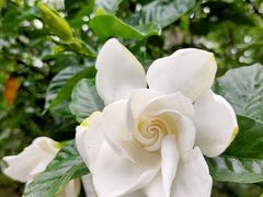 -合肥滨湖国家森林公园