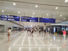 -上海浦东国际机场-T2航站楼