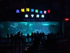 -泉城欧乐堡海洋极地世界