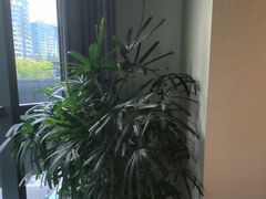 -壹品轩(转塘之江一号店)