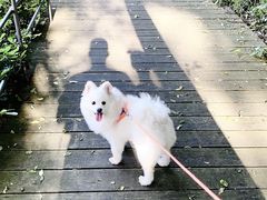 -上海月湖雕塑公园
