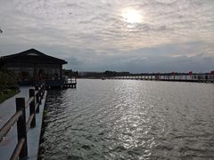 -鹅湖玫瑰文化园