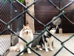 -TrueLove @ Neverland (Husky Cafe)