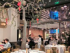 -桂满陇·海市蜃楼·黑金(国金店)