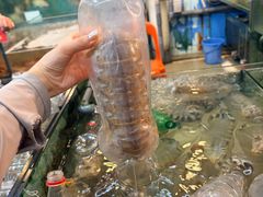 -大茄来海鲜餐厅(亚洲城分行)