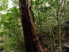 -七仙岭温泉国家森林公园