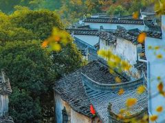 -塔川景区