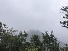 -杭州半山国家森林公园