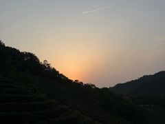 -阿巧茶庄