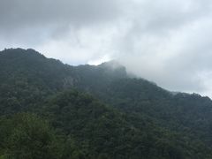 -牛背梁国家森林公园