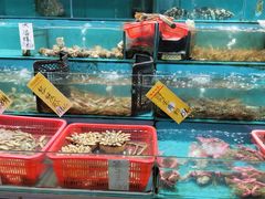 水产区-新享乐海鲜(翠华路店)