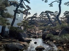 -罗红摄影艺术馆