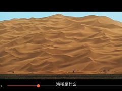 -SFC上影影城(新世界店)