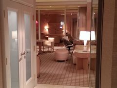 -拉斯维加斯永利酒店