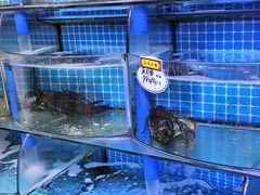 -晶渔坊·海鲜私房菜(东夷小镇店)