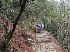 -井冈山风景名胜区-黄洋界