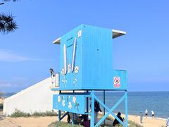 -巧克力渔家.小船海鲜胶东菜(三浴场店)