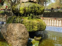 -福山迈臣农家乐