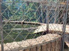 -呀路古热带植物园