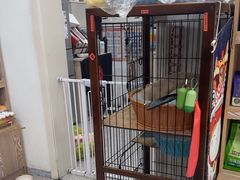 -四月宠物医院·猫专科·心脏专科·内科(转塘店)
