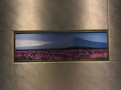 -麗枫酒店(广州珠江新城地铁站店)