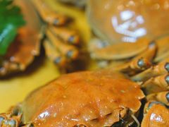 -醉南拳客家菜·河田鸡(东街口航空大厦店)
