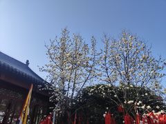 -长春观