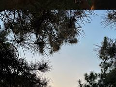 -鬼笑石后山停车场