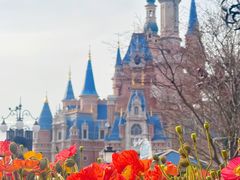 -上海迪士尼度假区