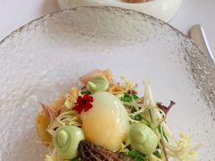 -蝶舍·MAISON PAPILLON