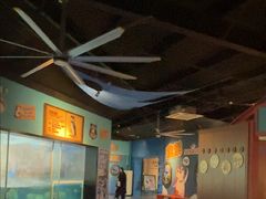 -海合安武汉极地海洋公园