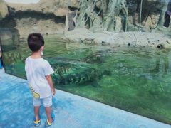 -秦皇岛乐岛海洋王国