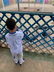 -萌宠亲子动物乐园(槐房万达店)