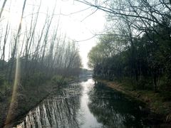 -昆山城市生态森林公园