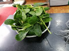 -老北京涮羊肉(航东路店)