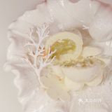Unicorn物种系列｜从食材探究环境与人的关系