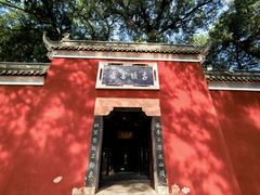 -子昂故里文化旅游区