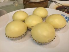 -黄埔华苑酒家(黄埔总店)