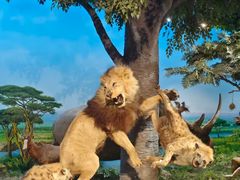 -国家自然博物馆