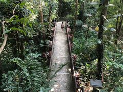 -广州市白云山风景名胜区
