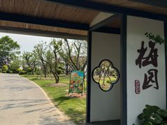 -上海长兴岛郊野公园