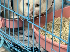 -艾贝尔宠物医院 ·中兽医·宠保定点(北门桥店)