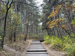 -帽儿山国家森林公园