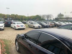 -野生动物园-停车场