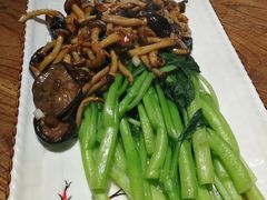 菜心浇双菌-东来菜馆•手抓海鲜家常菜•海鲜锅贴(鸽子窝店)