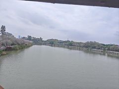 -海珠湖公园