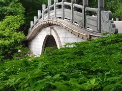 -荔湾湖公园