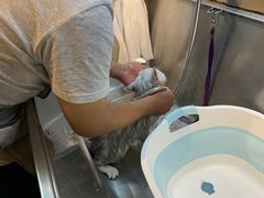 -PETKIT小佩宠物·低压洗护(国顺东路店)